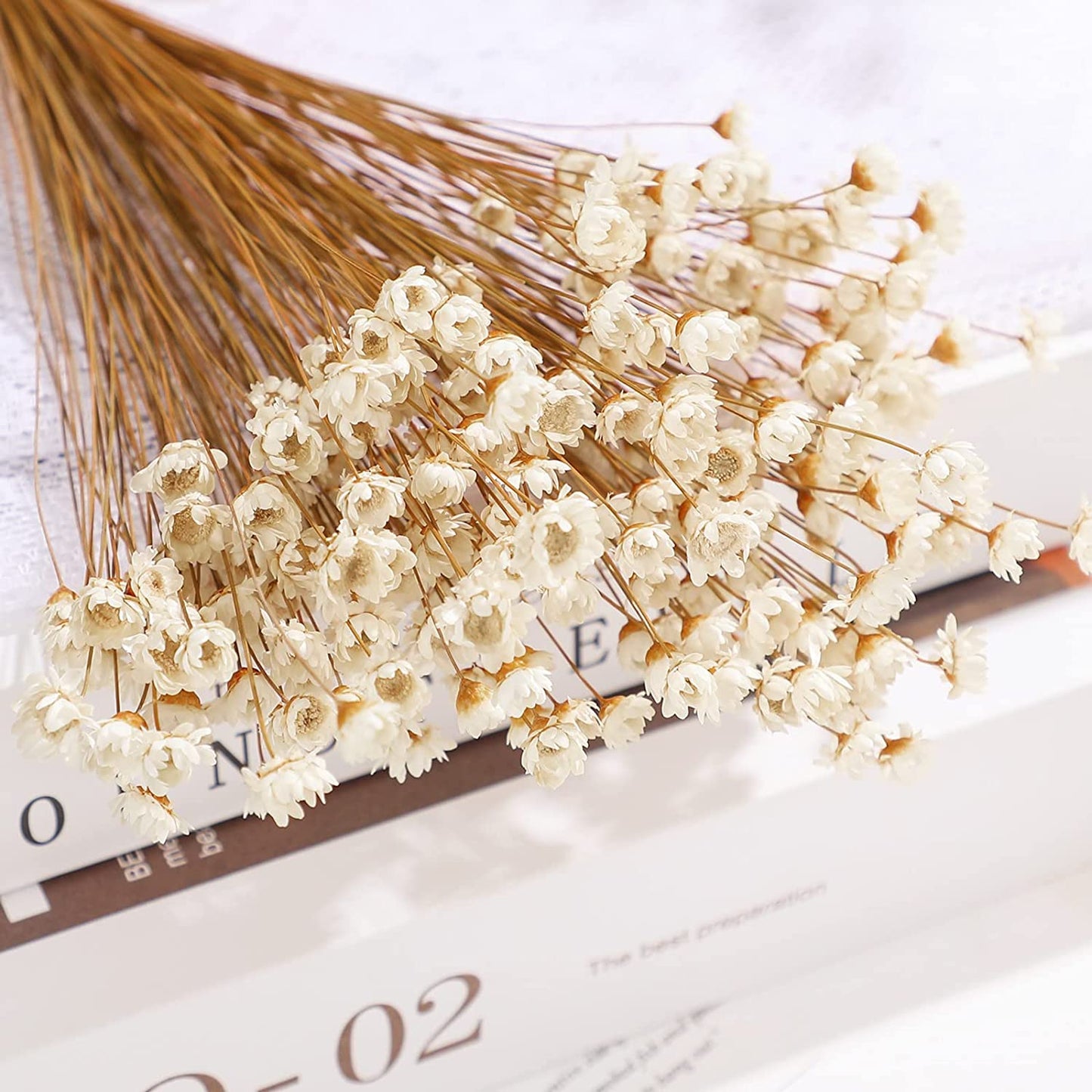 dried_flower - preserved_flower - fake_flower - 200Pcs Natural Dry Flowers Brazilian Small Star Daisy Dried Mini Chamomile Bouquet - Molly Garden - Molly_Garden_Floral
