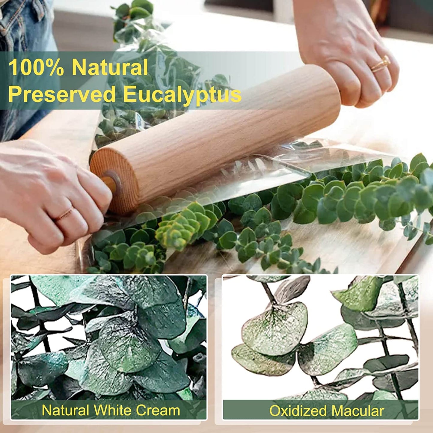 dried_flower - preserved_flower - fake_flower - 25Pcs Dried Preserved Eucalyptus Stems for Shower 17" Real Fresh Plant Bundle - Molly Garden - Molly_Garden_Floral