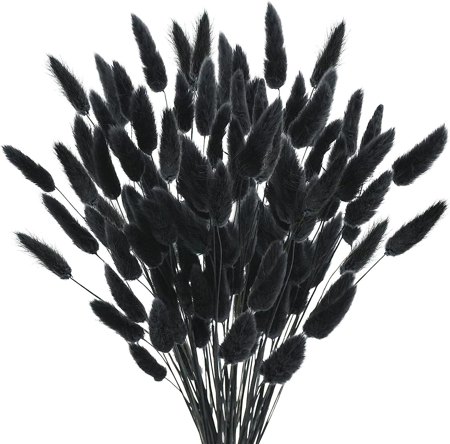 dried_flower - preserved_flower - fake_flower - 50Pcs Dried Lagurus Ovatus 17’’ Natural Bunny Tails Flowers Dried Pampas Grass - Molly Garden - Molly_Garden_Floral