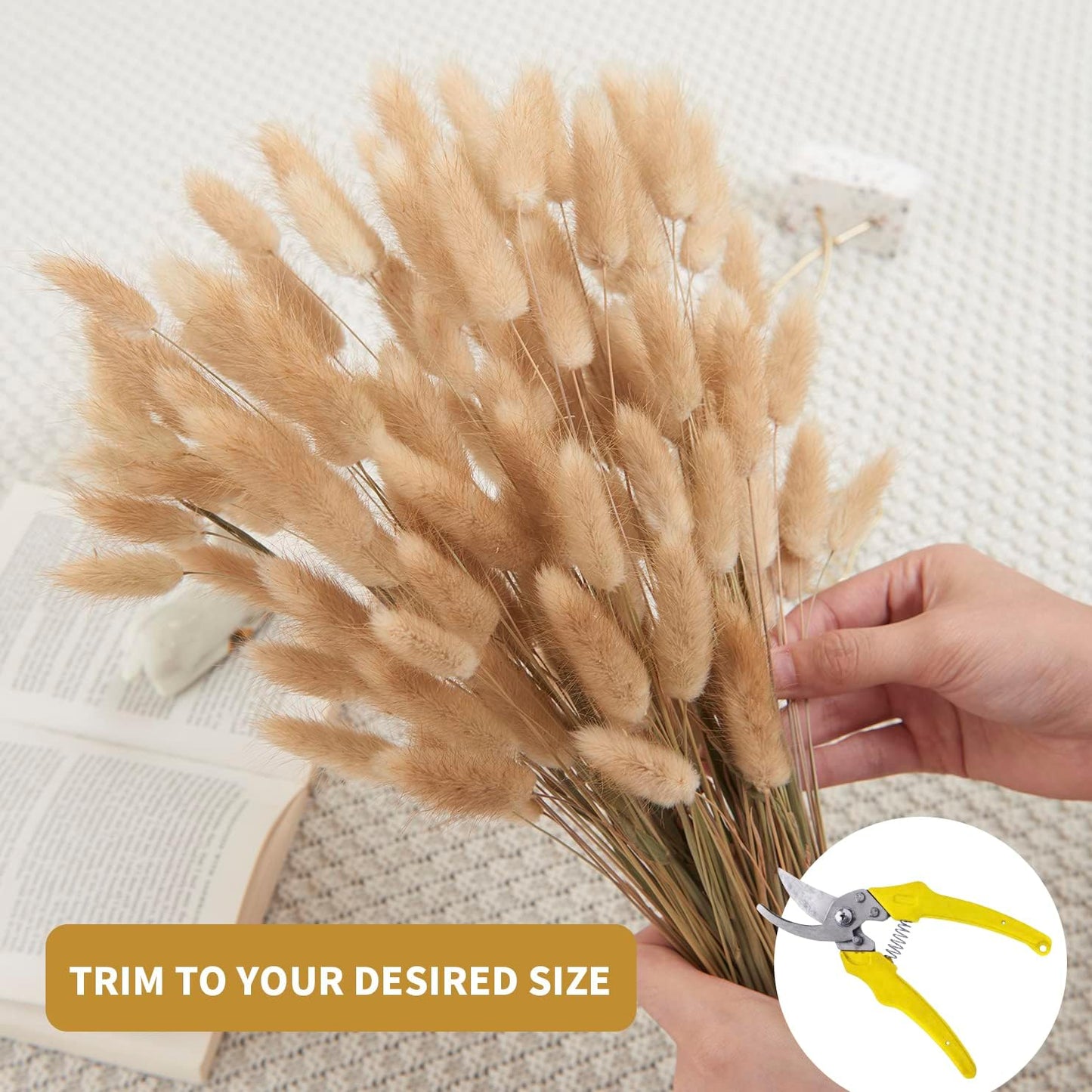 dried_flower - preserved_flower - fake_flower - 120Pcs Natural Dried Bunny Tail Grass Flowers for Home Decor & Floral Arrangements - Molly Garden - Molly_Garden_Floral