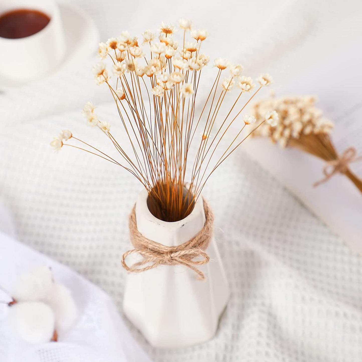 dried_flower - preserved_flower - fake_flower - 200Pcs Natural Dry Flowers Brazilian Small Star Daisy Dried Mini Chamomile Bouquet - Molly Garden - Molly_Garden_Floral