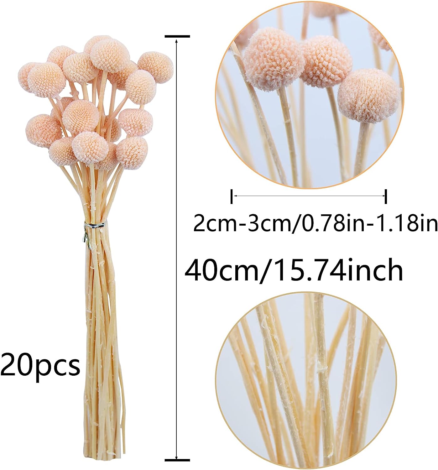 dried_flower - preserved_flower - fake_flower - 20Pcs Dried Flowers Craspedia Billy Balls Billy Buttons Pink Dried Floral Bouquet - Molly Garden - Molly_Garden_Floral