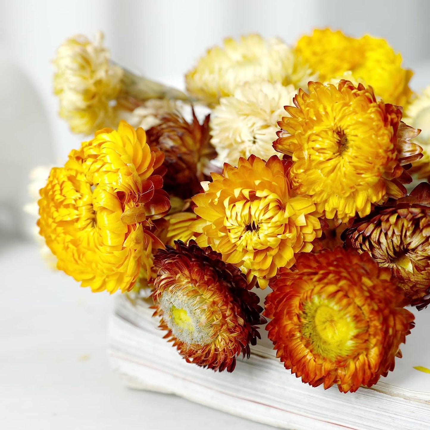 dried_flower - preserved_flower - fake_flower - 40Pcs Dried Flower Daisy Bouquet 100% Natural Chrysanthemum Dry Floral - Molly Garden - Molly_Garden_Floral