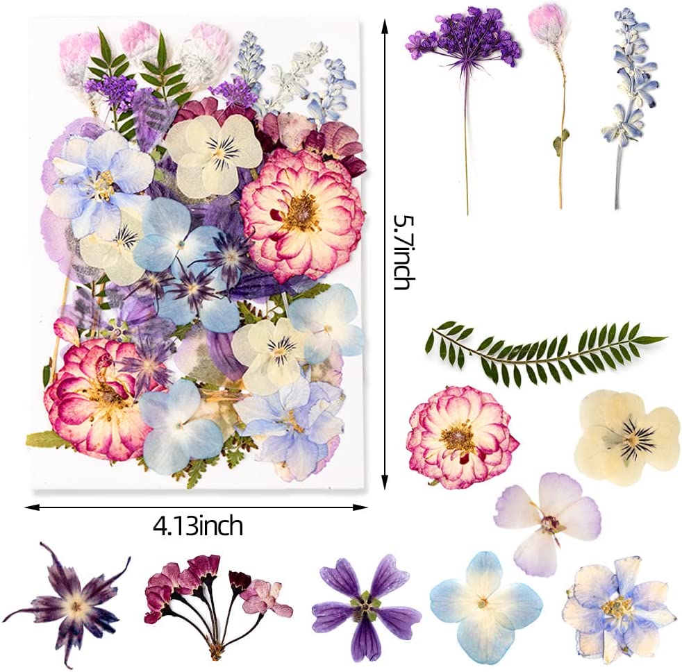 dried_flower - preserved_flower - fake_flower - 35+Pcs Flowers for Resin Model Real Pressed Dry Leaves Bulk Natural Herbs Kit - Molly Garden - Molly_Garden_Floral