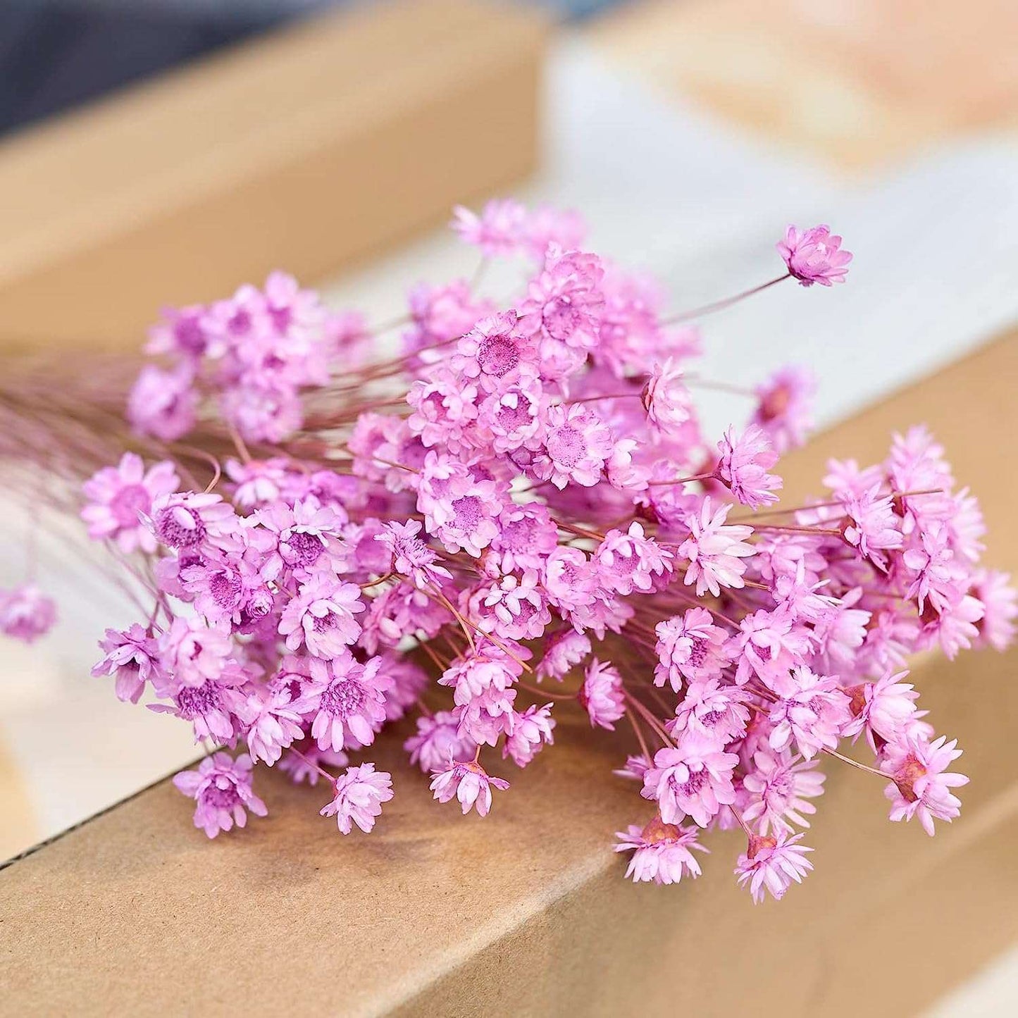 dried_flower - preserved_flower - fake_flower - 200Stems Brazilian Small Star Daisy Dried Flowers Mini Chamomile Bouquet - Molly Garden - Molly_Garden_Floral