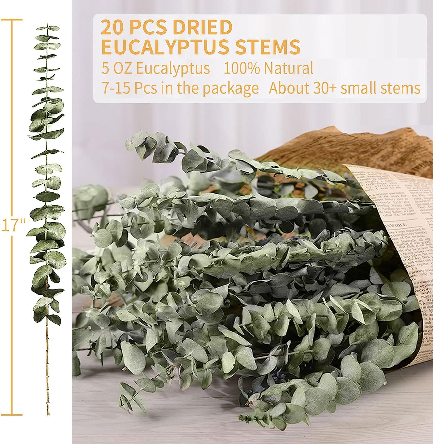 dried_flower - preserved_flower - fake_flower - 20Pcs Dried Eucalyptus Bundle for Shower 17" Natural Head Hanging Plant Stems - Molly Garden - Molly_Garden_Floral