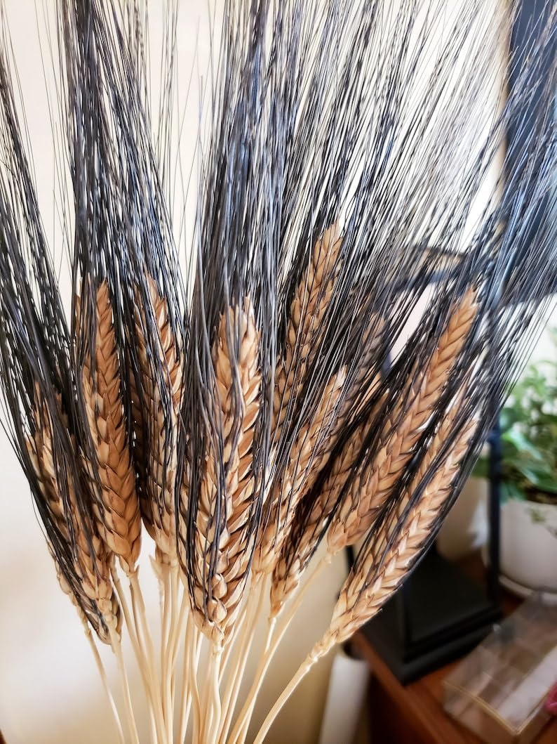 dried_flower - preserved_flower - fake_flower - 25Pcs Dried Black Bearded Wheat Bundle Fall Decoration Tropical Home Decor - Molly Garden - Molly_Garden_Floral