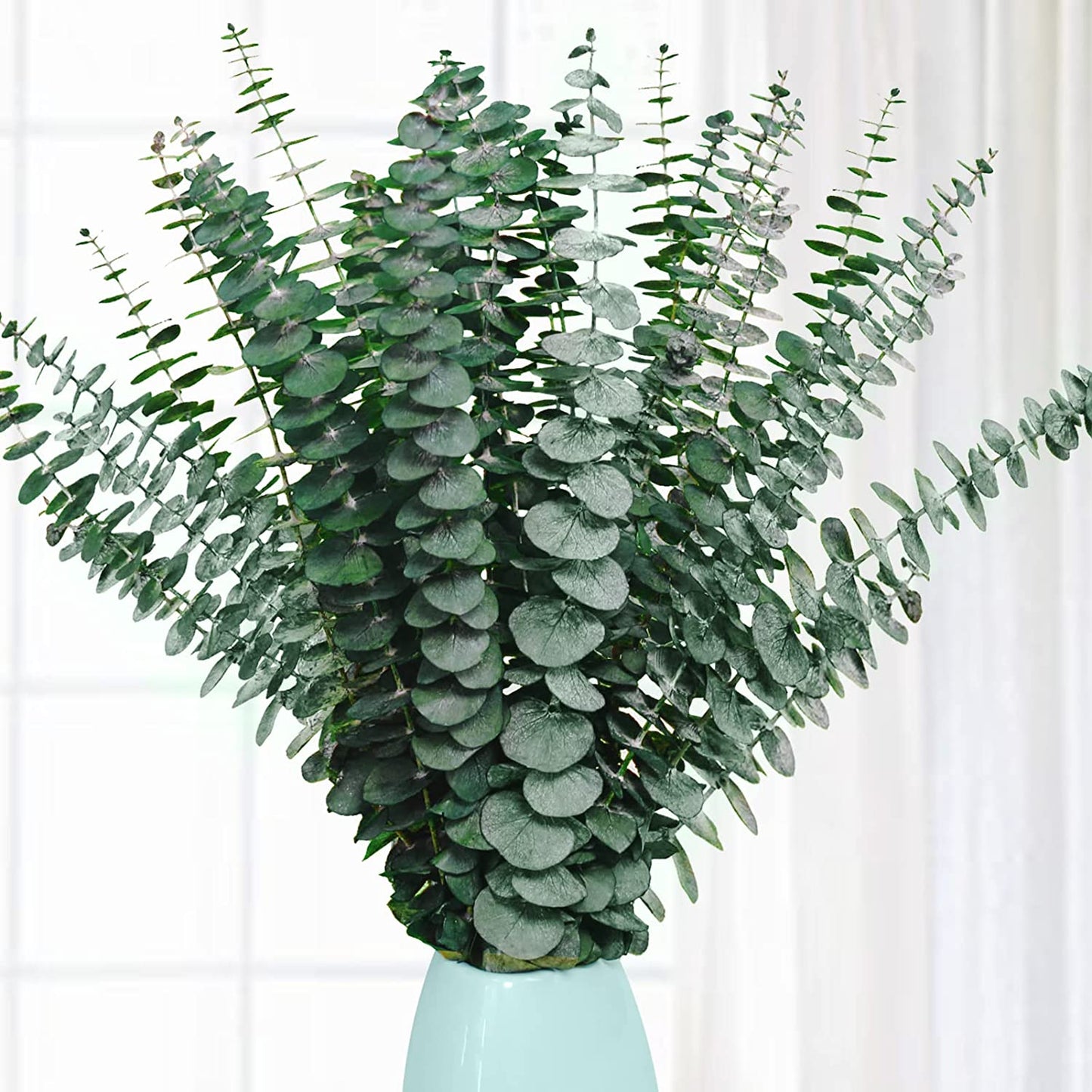 dried_flower - preserved_flower - fake_flower - 20Pcs Preserved Dried Eucalyptus Stems 17" Natural Fresh Branches for Shower - Molly Garden - Molly_Garden_Floral