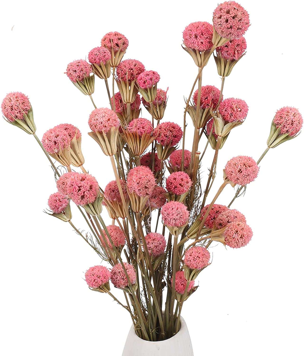 dried_flower - preserved_flower - fake_flower - 40Pcs Natural Dried Flowers Bouquet Bulk Craspedia Billy Button Balls - Molly Garden - Molly_Garden_Floral
