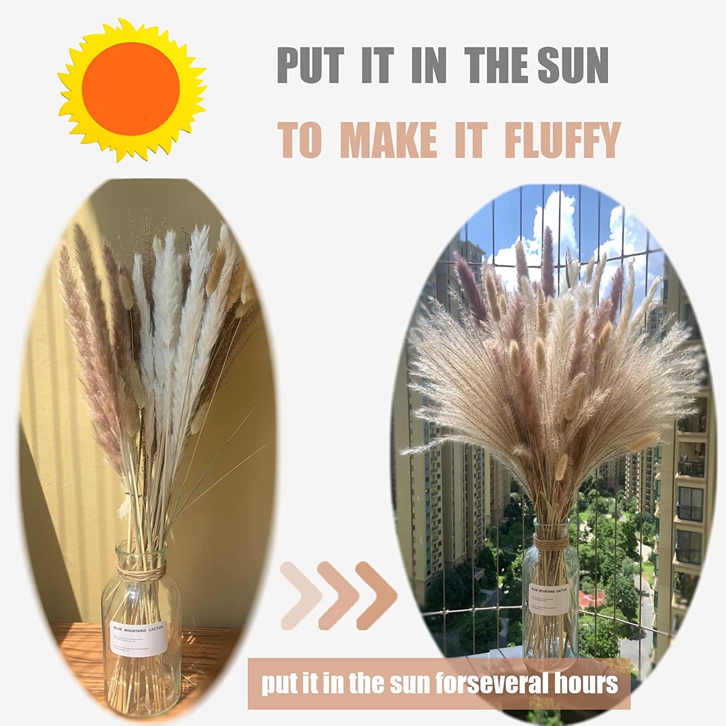 dried_flower - preserved_flower - fake_flower - 80Pcs 17.5 inch Natural Flowers Dried Pampas Grass Fluffy for Home Decor - Molly Garden - Molly_Garden_Floral