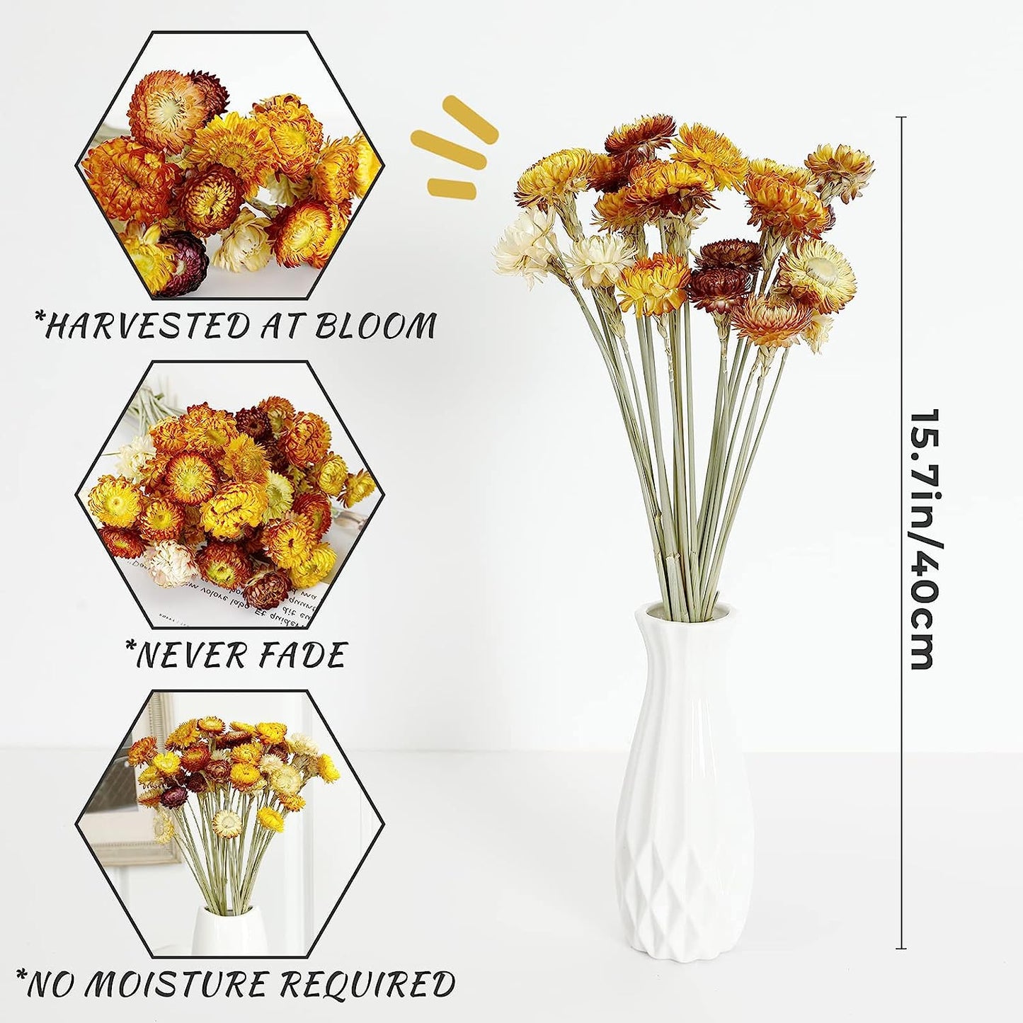 dried_flower - preserved_flower - fake_flower - 40Pcs Dried Flower Daisy Bouquet 100% Natural Chrysanthemum Dry Floral - Molly Garden - Molly_Garden_Floral
