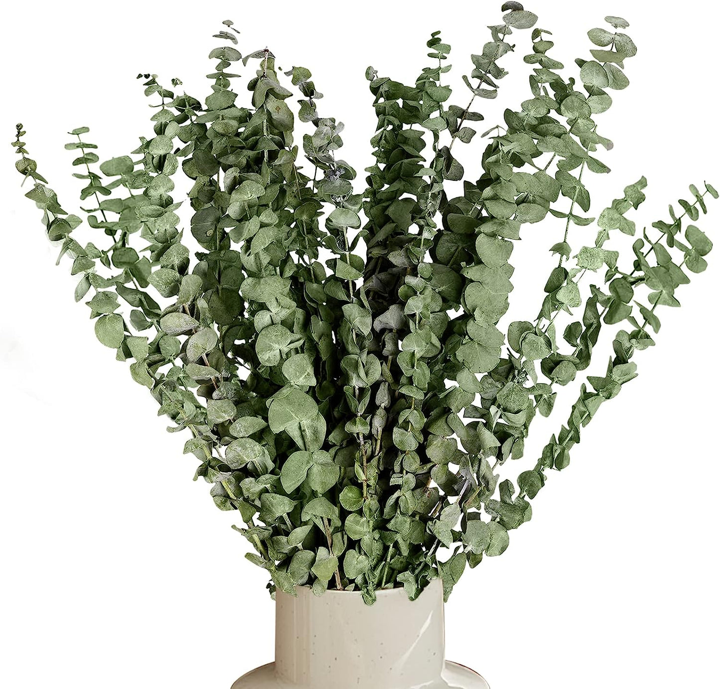 dried_flower - preserved_flower - fake_flower - 20Pcs Dried Eucalyptus Bundle for Shower 17" Natural Head Hanging Plant Stems - Molly Garden - Molly_Garden_Floral