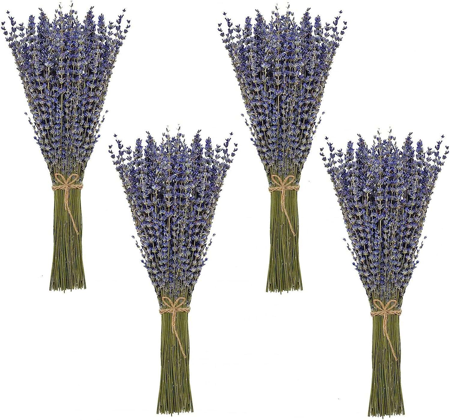 dried_flower - preserved_flower - fake_flower - 2Pack Bundles Dried Lavender Bundles Flowers 100% Natural for Home Decoration - Molly Garden - Molly_Garden_Floral