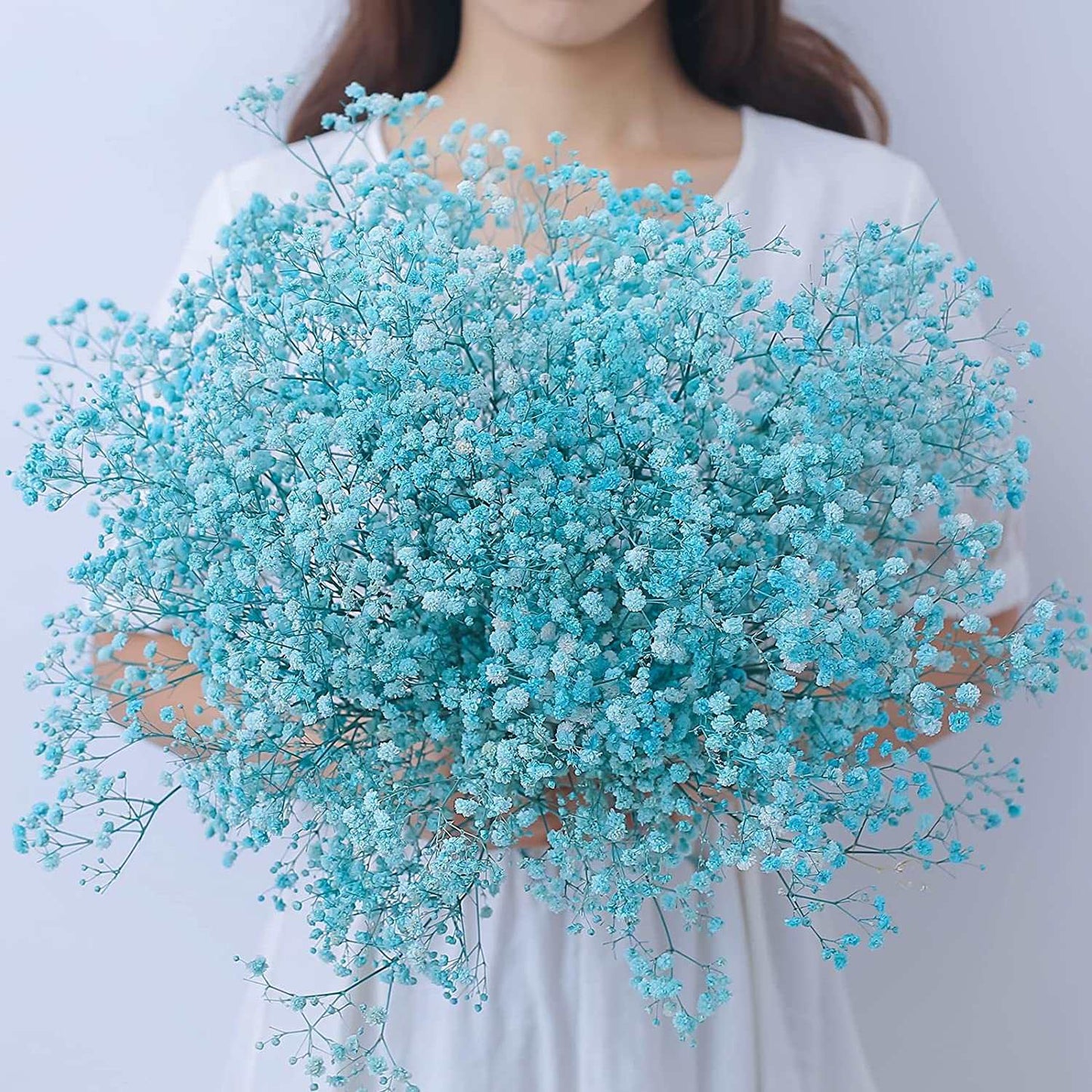 dried_flower - preserved_flower - fake_flower - 2500+Head Dried Flowers Babys Breath Bouquet Natural Gypsophila Branches - Molly Garden - Molly_Garden_Floral