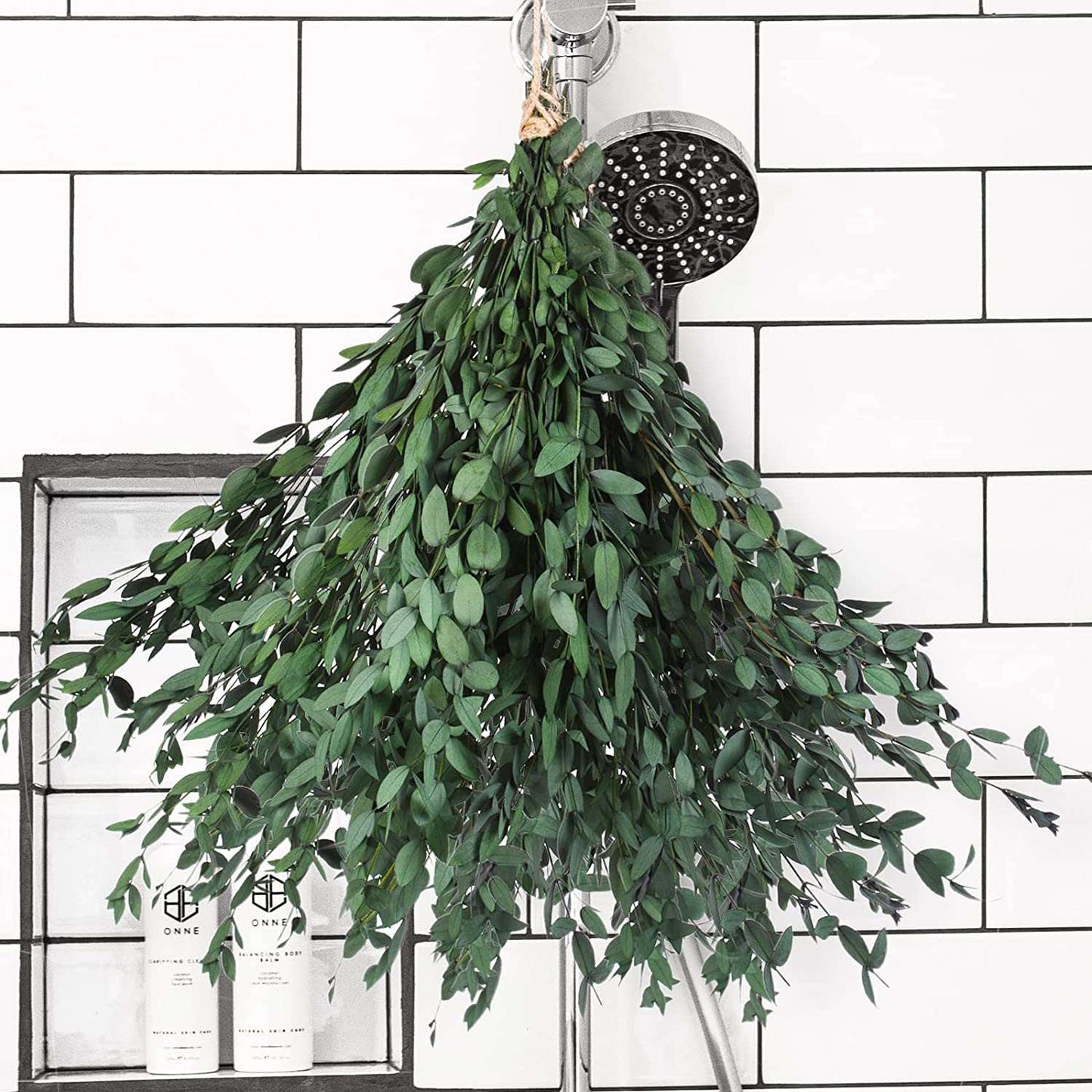 dried_flower - preserved_flower - fake_flower - 8-15Pcs Real Natural Preserved Eucalyptus Leaves Plant Bundle Shower Hanging - Molly Garden - Molly_Garden_Floral