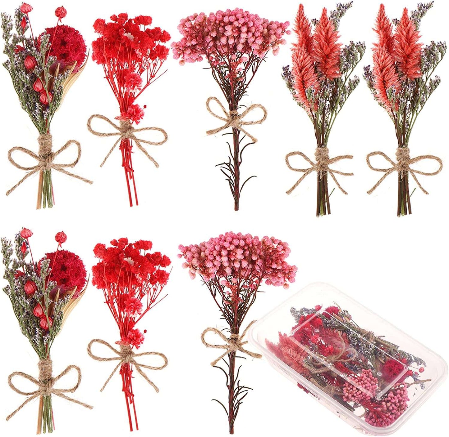 dried_flower - preserved_flower - fake_flower - 8Pcs Don't Forget Me Flower Bouquets Natural Dried Florals Myosotis Sylvatica - Molly Garden - Molly_Garden_Floral