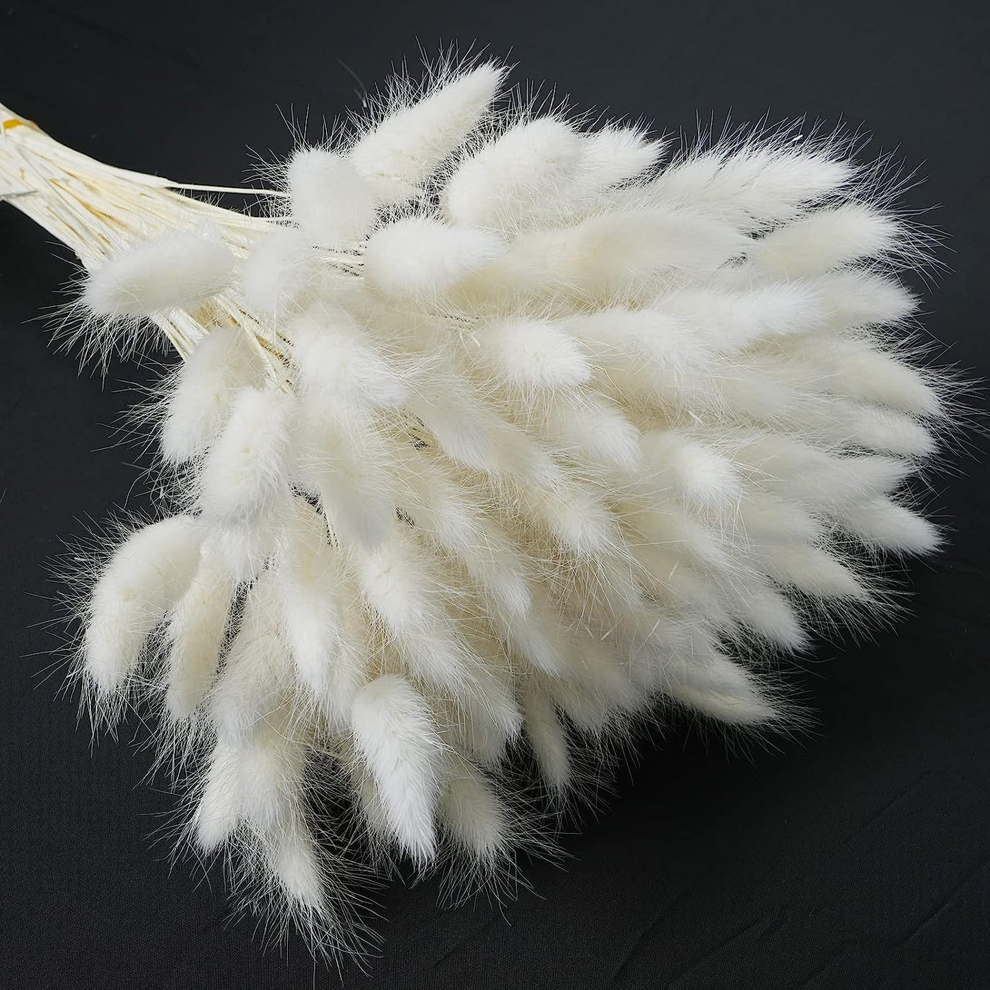 dried_flower - preserved_flower - fake_flower - 120Pcs Dried Bunny Tails Flowers Rabbit Tail Grass Lagurus Ovatus Bouquet - Molly Garden - Molly_Garden_Floral