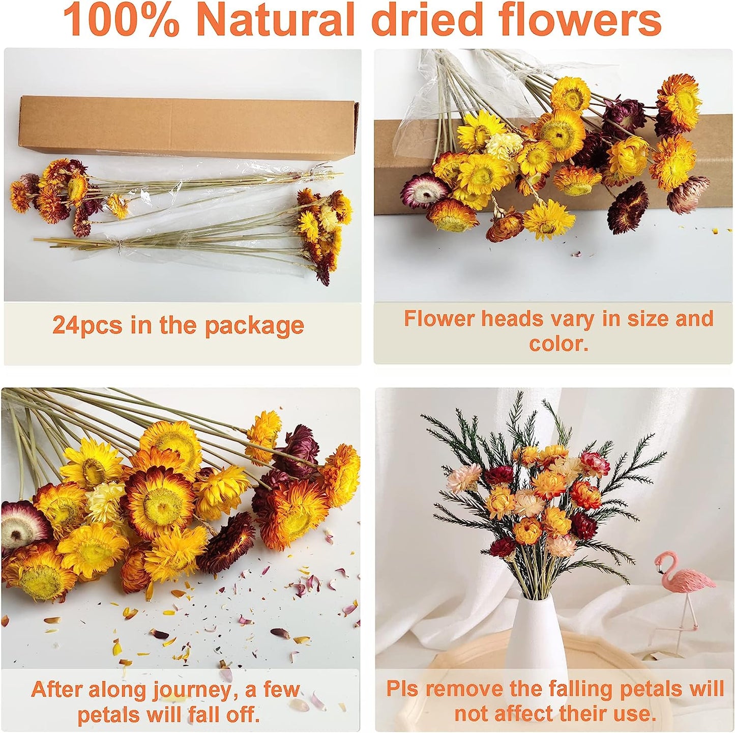 dried_flower - preserved_flower - fake_flower - 24Pcs Natural Dried Straw Flowers Daisy Multicolor Daisies Sunflowers Chrysanthemum - Molly Garden - Molly_Garden_Floral