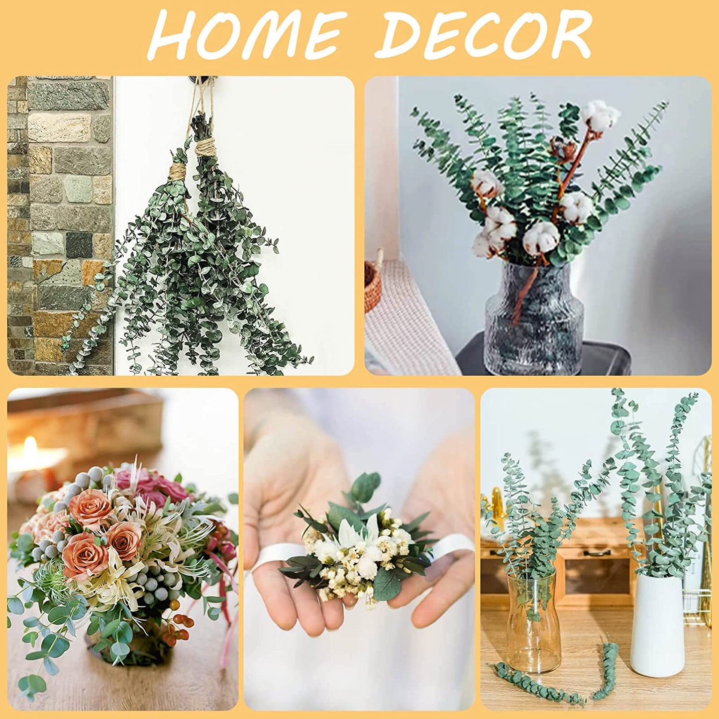 dried_flower - preserved_flower - fake_flower - 10Pcs Dried Preserved Eucalyptus Stems for Shower Real Natural Fresh Leaves - Molly Garden - Molly_Garden_Floral