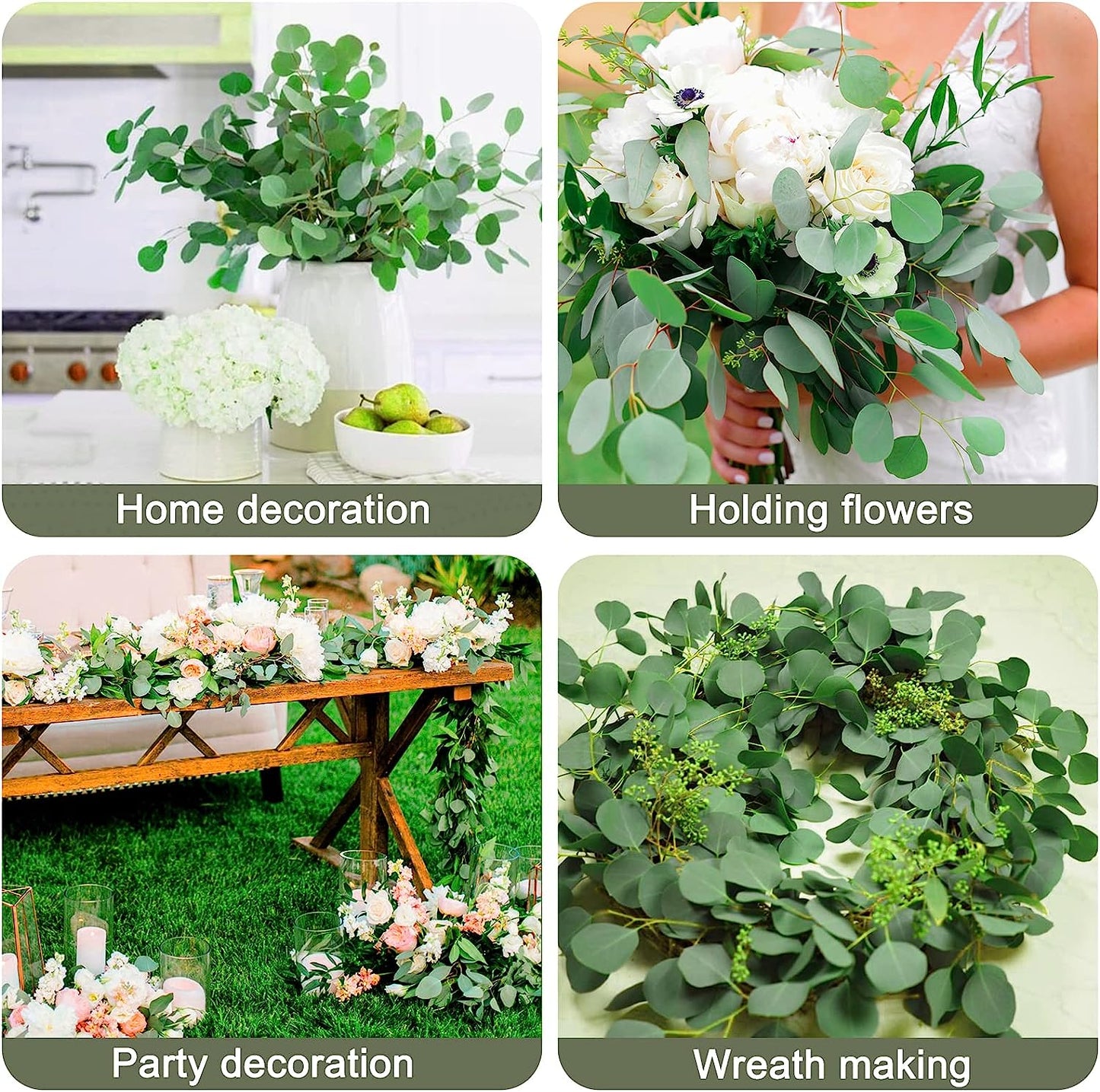 dried_flower - preserved_flower - fake_flower - 15-20Pcs Preserved Dried Eucalyptus Stems 100% Natural Real Silver Dollar Leaves - Molly Garden - Molly_Garden_Floral
