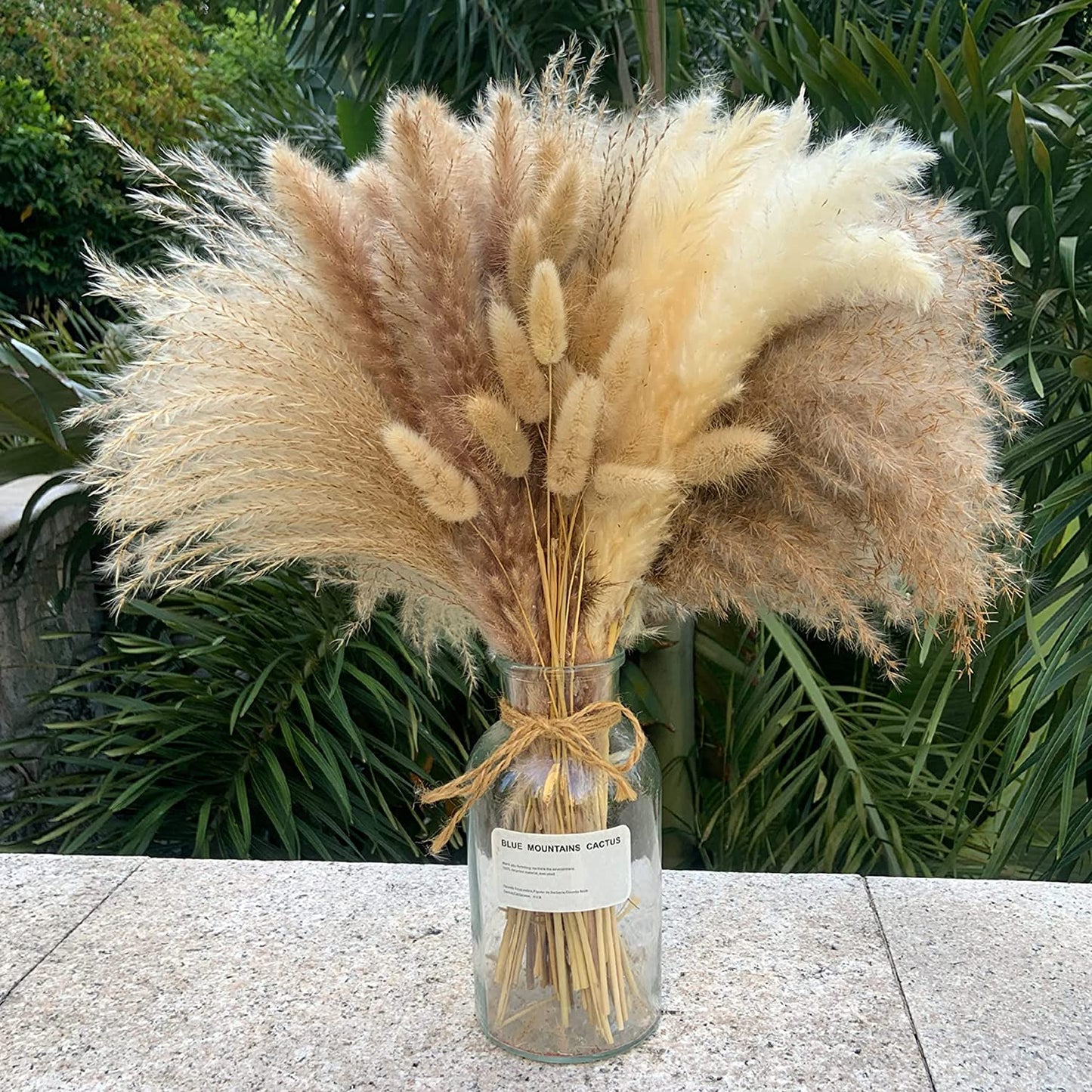 dried_flower - preserved_flower - fake_flower - 80Pcs 17.5 inch Natural Flowers Dried Pampas Grass Fluffy for Home Decor - Molly Garden - Molly_Garden_Floral