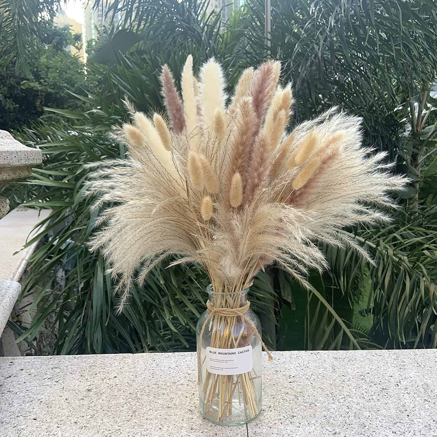 dried_flower - preserved_flower - fake_flower - 80Pcs 17.5 inch Natural Flowers Dried Pampas Grass Fluffy for Home Decor - Molly Garden - Molly_Garden_Floral