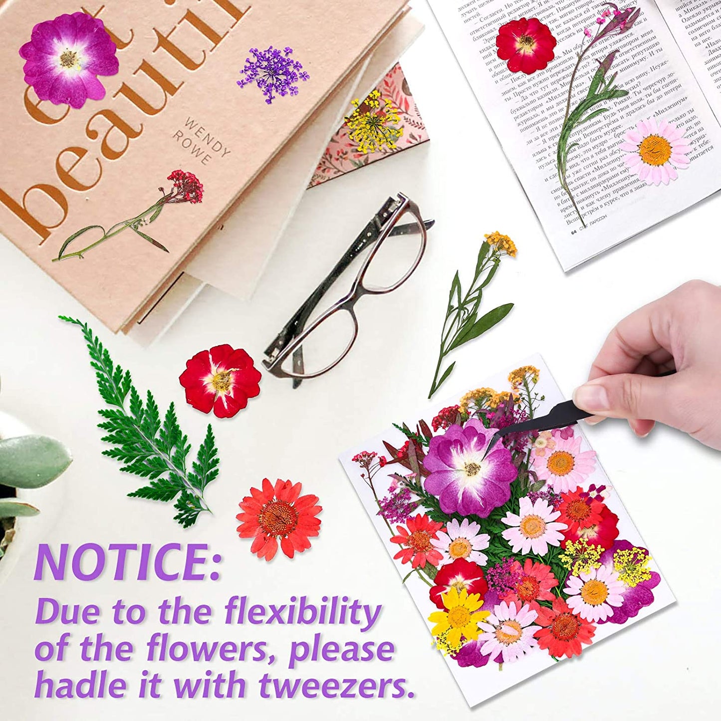 dried_flower - preserved_flower - fake_flower - 120Pcs Dried Flowers for Resin Molds Natural Pressed Leaves Herbs kit with Tweezers - Molly Garden - Molly_Garden_Floral
