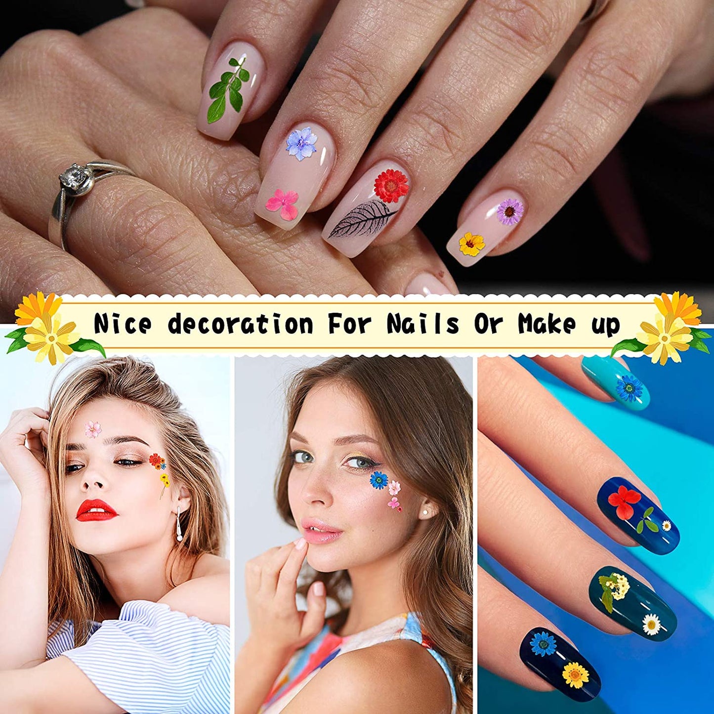 dried_flower - preserved_flower - fake_flower - 167Pcs Real Mixed Multiple Dried Pressed Natural Leaves Colorful Dry Flowers - Molly Garden - Molly_Garden_Floral