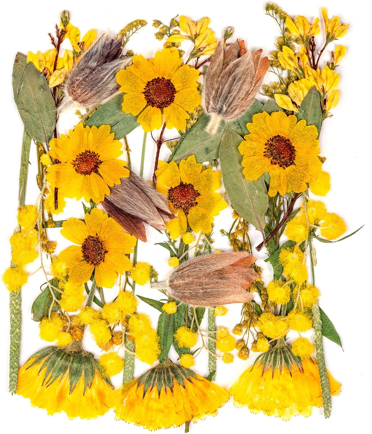 dried_flower - preserved_flower - fake_flower - 35+Pcs Flowers for Resin Model Real Pressed Dry Leaves Bulk Natural Herbs Kit - Molly Garden - Molly_Garden_Floral