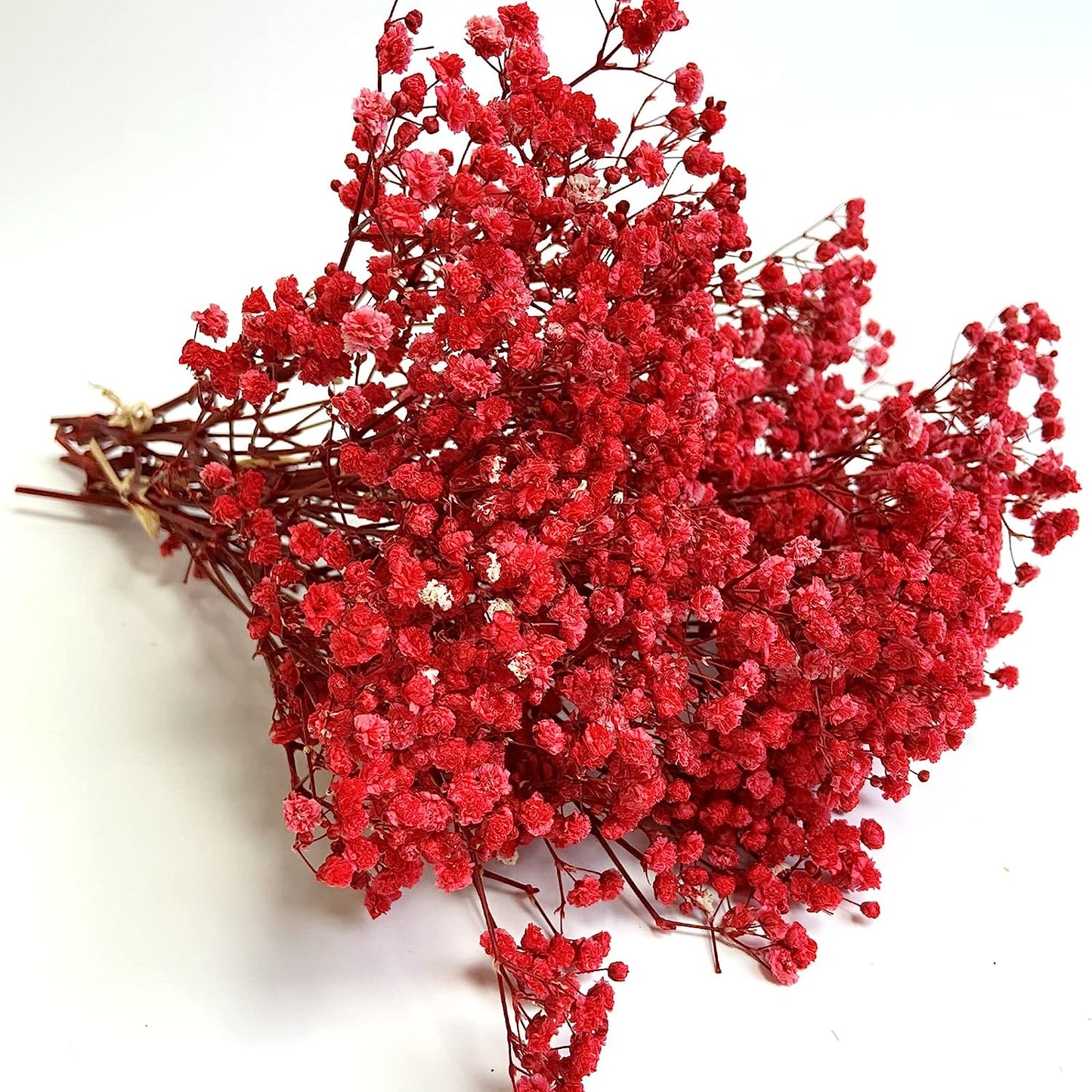 dried_flower - preserved_flower - fake_flower - 3Bunches Preserved Babys Breath 100% Natrual Fresh Gypsophila Long Lasting Flowers - Molly Garden - Molly_Garden_Floral