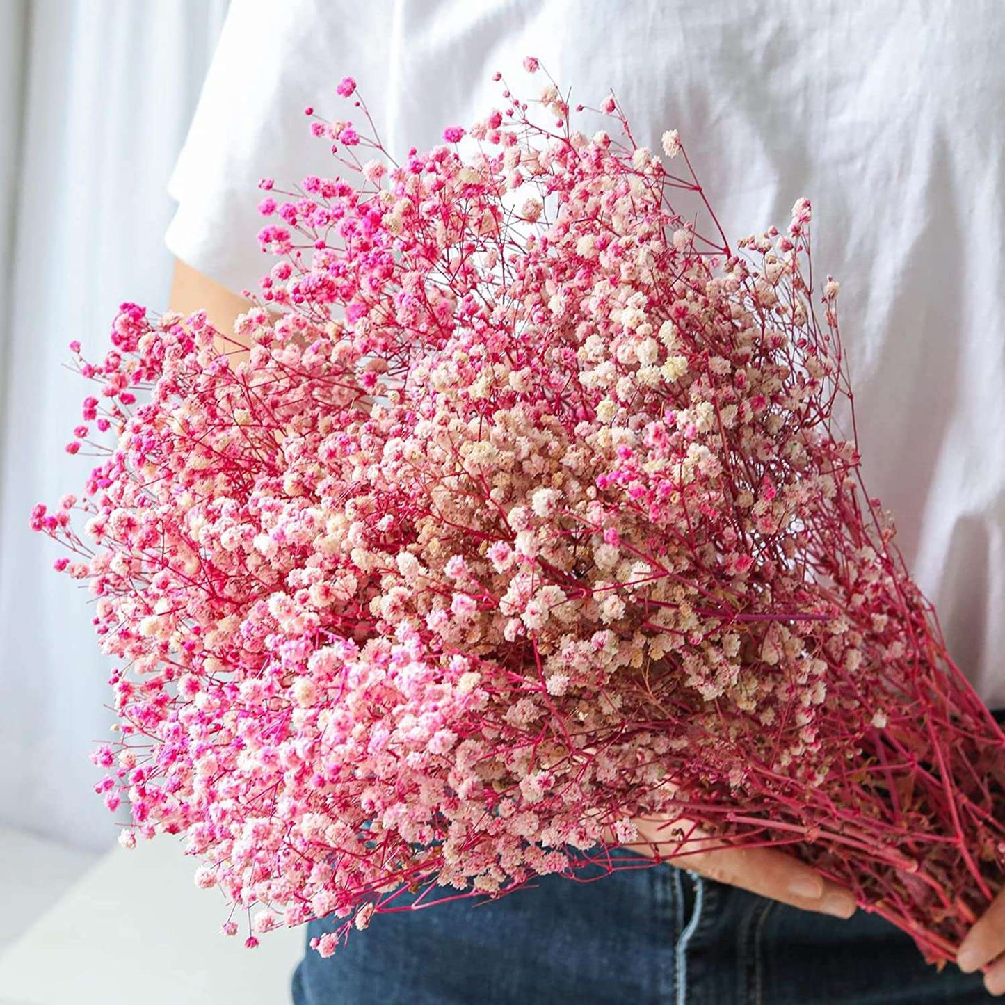 dried_flower - preserved_flower - fake_flower - 2500+Head Dried Flowers Babys Breath Bouquet Natural Gypsophila Branches - Molly Garden - Molly_Garden_Floral