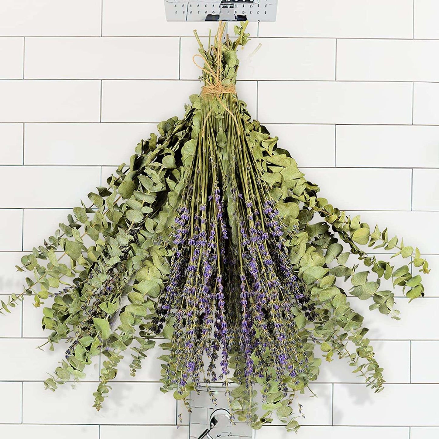 dried_flower - preserved_flower - fake_flower - 120Pcs Dried Eucalyptus Stems & Lavender Flowers Bundle 17'' Natural Real Leaves - Molly Garden - Molly_Garden_Floral