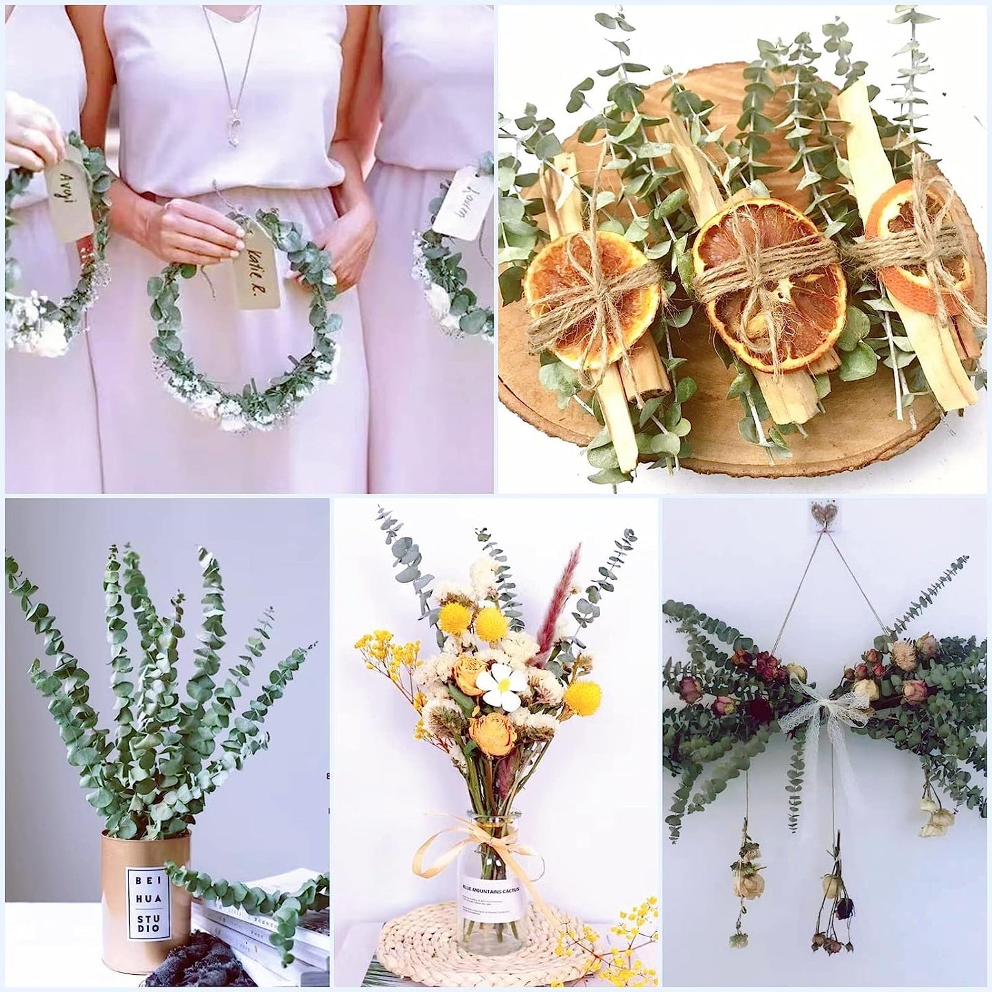 dried_flower - preserved_flower - fake_flower - 14Pcs Dried Eucalyptus Plant Stems for Shower 100% Natural Leaves 17" Branches - Molly Garden - Molly_Garden_Floral