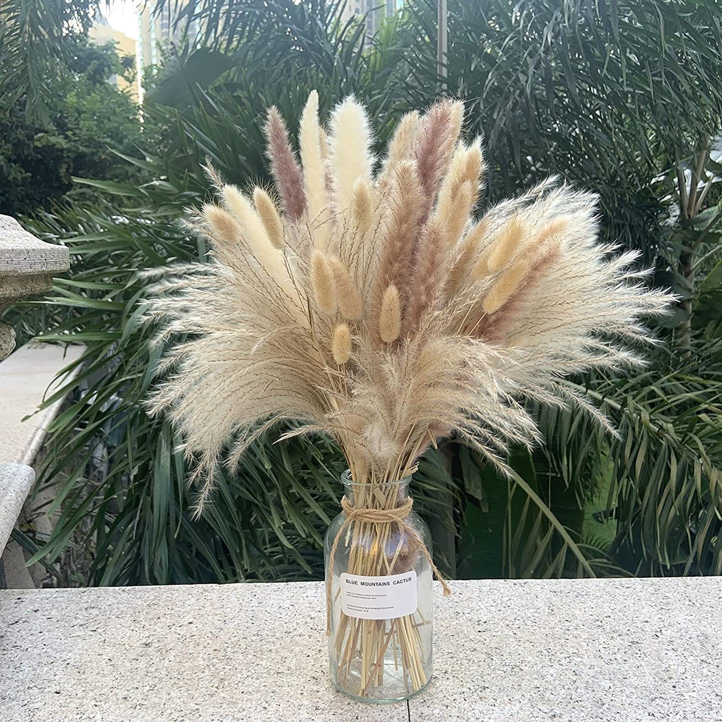 dried_flower - preserved_flower - fake_flower - 80Pcs 17.5 inch Natural Flowers Dried Pampas Grass Fluffy for Home Decor - Molly Garden - Molly_Garden_Floral