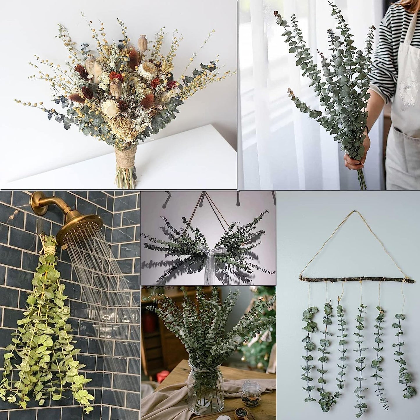 dried_flower - preserved_flower - fake_flower - 16Pcs Dried Eucalyptus Plant Stems 100% Natural Branches Leaves for Shower - Molly Garden - Molly_Garden_Floral