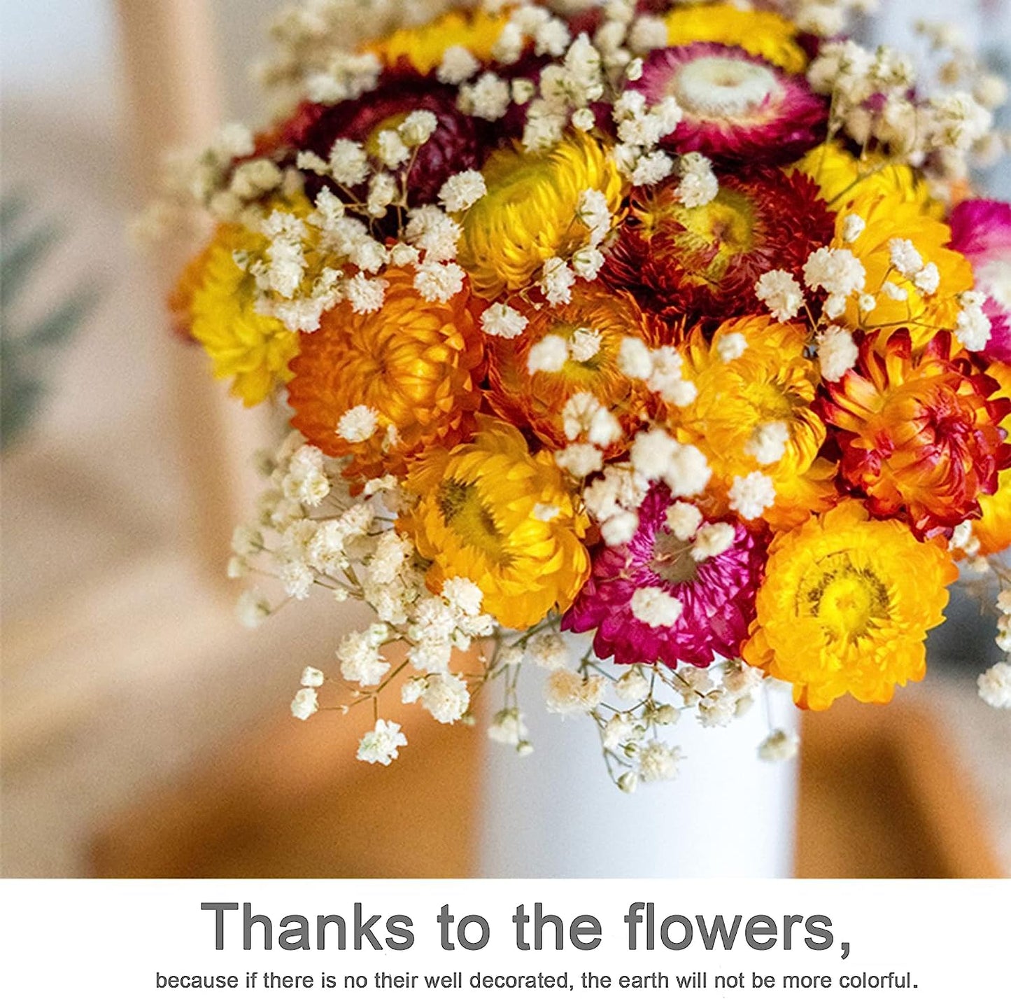 dried_flower - preserved_flower - fake_flower - 24Pcs Natural Dried Straw Flowers Daisy Multicolor Daisies Sunflowers Chrysanthemum - Molly Garden - Molly_Garden_Floral