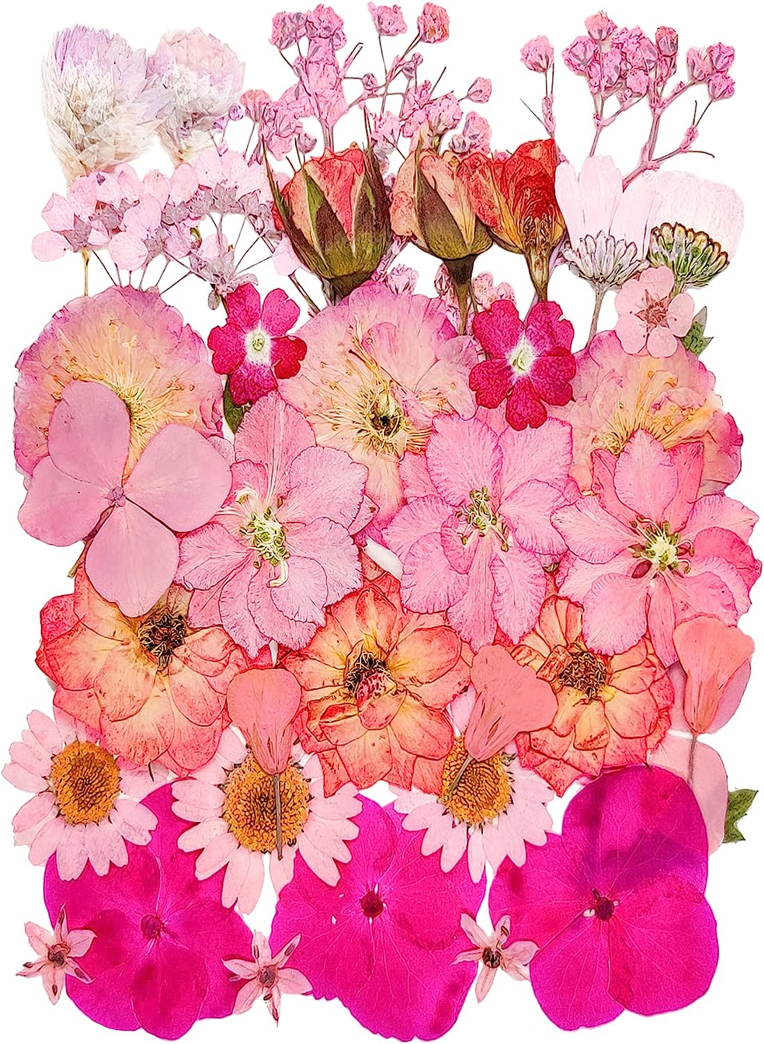 dried_flower - preserved_flower - fake_flower - 37Pcs 18Types Dried Pressed Flowers for Resin Molds YouthBro Real Natural - Molly Garden - Molly_Garden_Floral