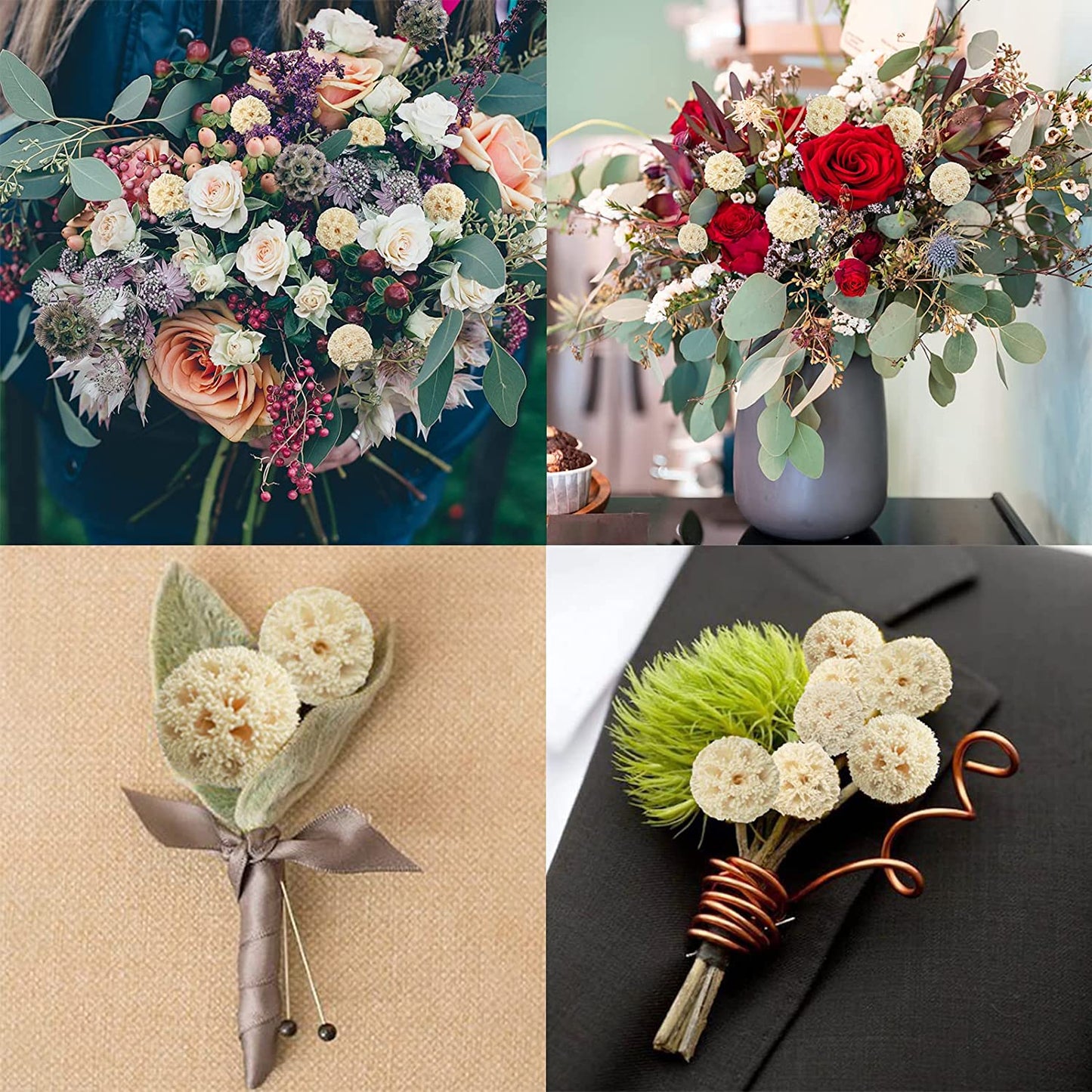 dried_flower - preserved_flower - fake_flower - 24Pcs Dried Craspedia Billy Balls Flowers 18β Natural Floral Arrangements - Molly Garden - Molly_Garden_Floral