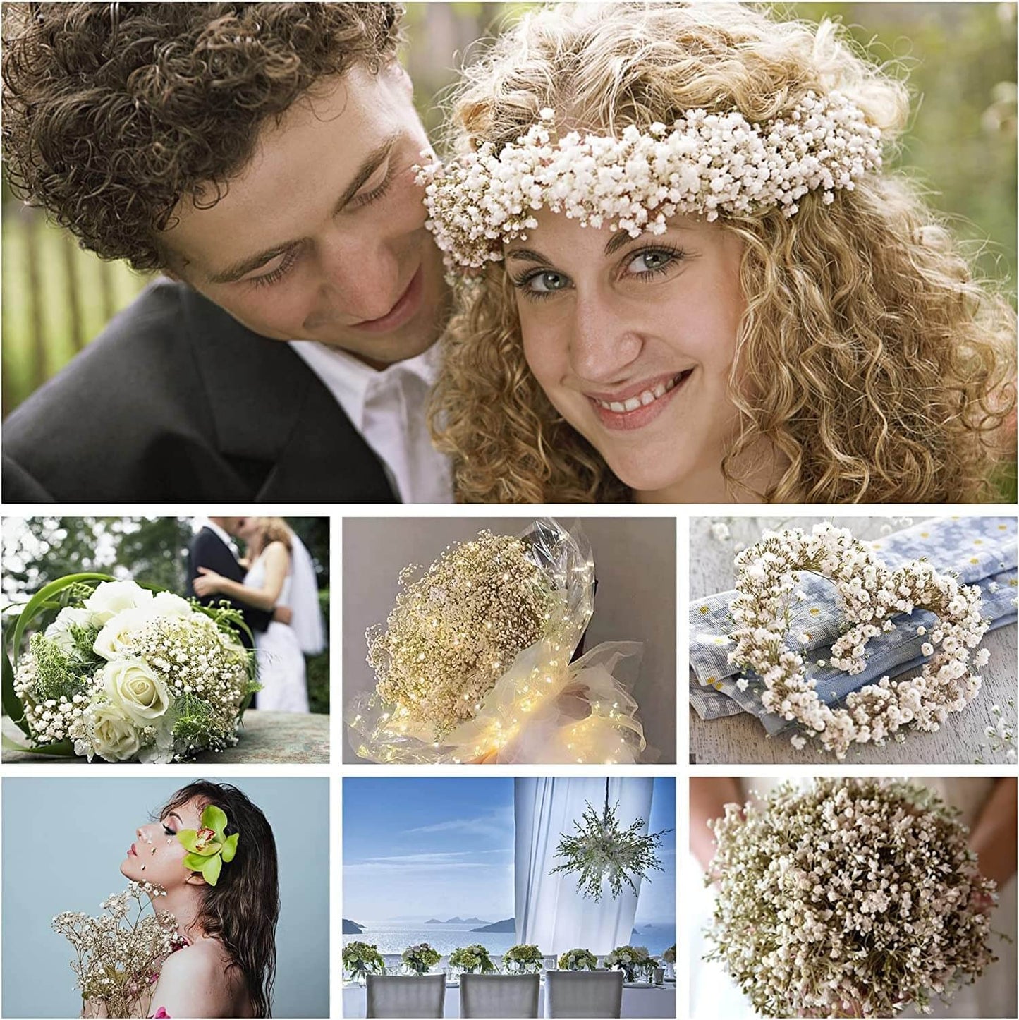 dried_flower - preserved_flower - fake_flower - 5000+Dried Babys Breath Flowers Bouquet Upgraded Natural White Gypsophila Bulk - Molly Garden - Molly_Garden_Floral