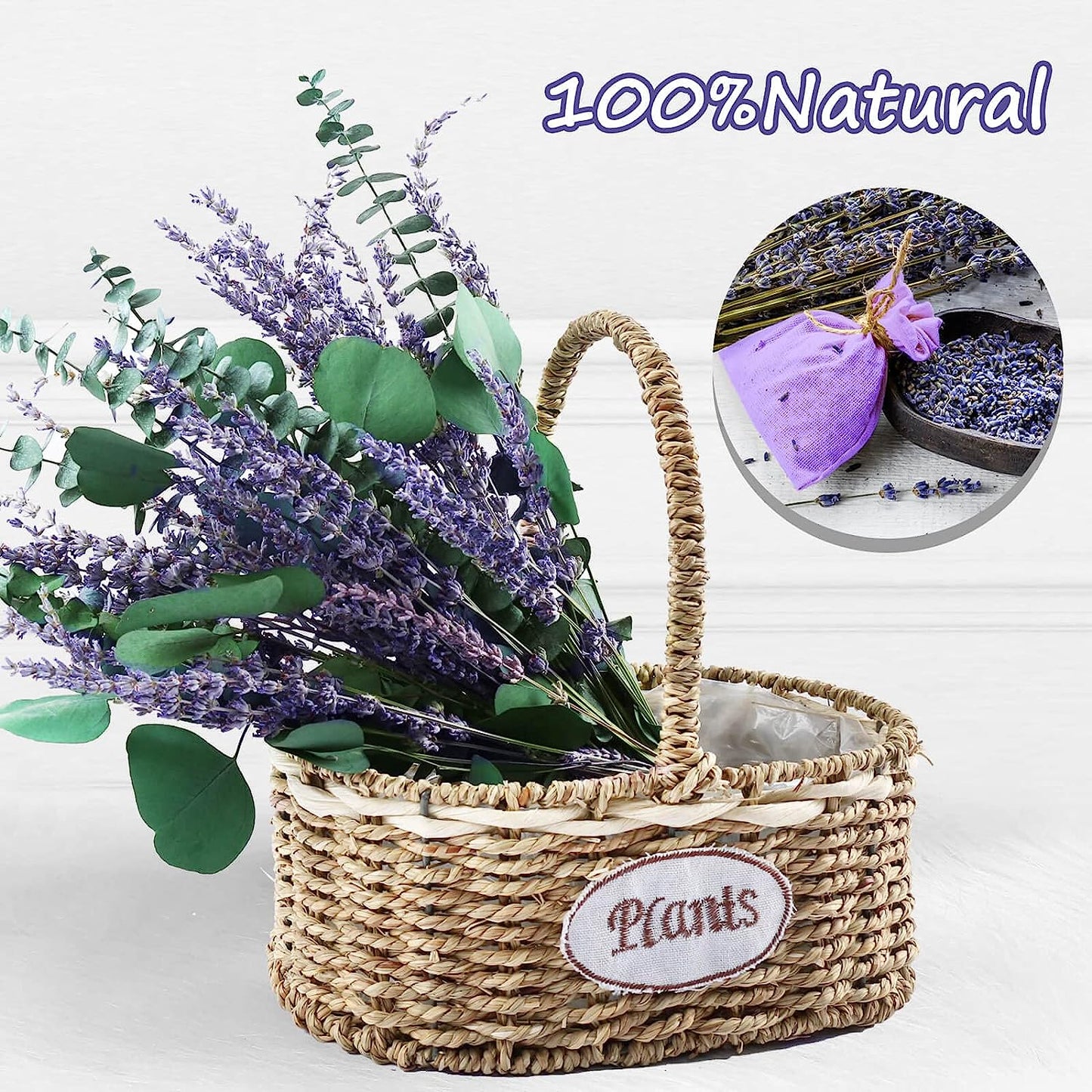 dried_flower - preserved_flower - fake_flower - 80Pcs Large Dried Preserved Eucalyptus Stems & Lavender Flowers Bundle - Molly Garden - Molly_Garden_Floral