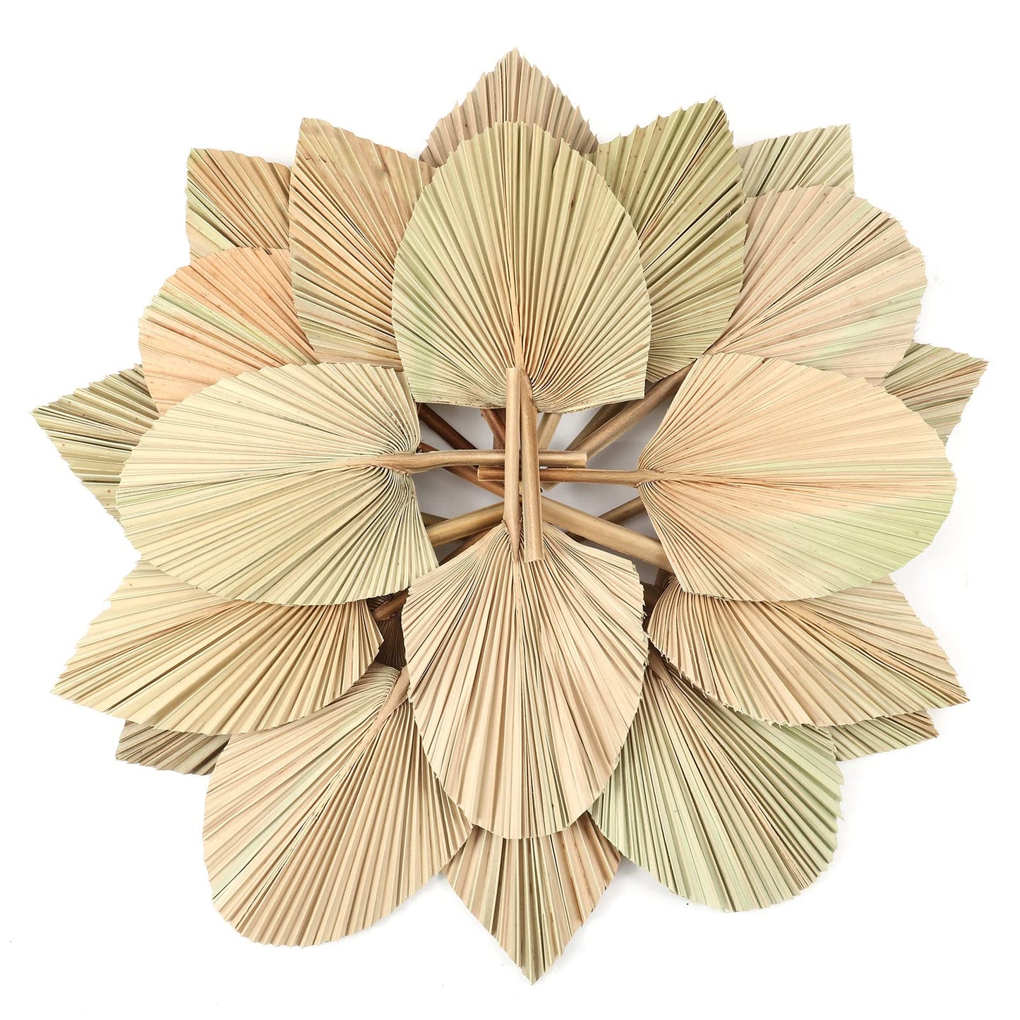 dried_flower - preserved_flower - fake_flower - Natural Dried Palm Leaves Real Plants Home Decor Boho Heart Oval Shape - Molly Garden - Molly_Garden_Floral