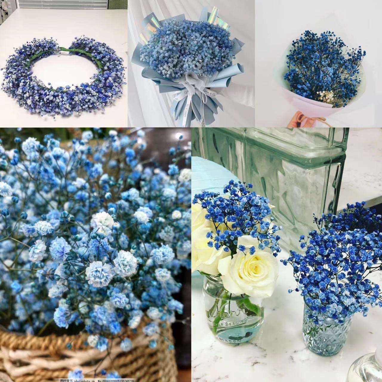 dried_flower - preserved_flower - fake_flower - 2500+Head Dried Flowers Babys Breath Bouquet Natural Gypsophila Ink Blue - Molly Garden - Molly_Garden_Floral