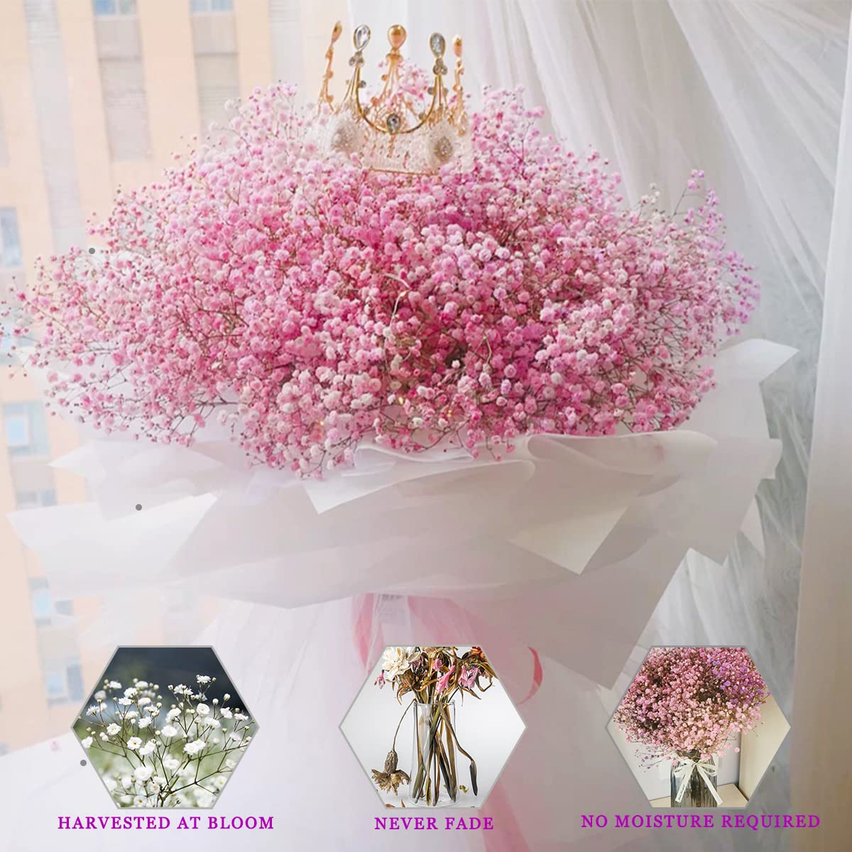 dried_flower - preserved_flower - fake_flower - 2500+Head Dried Flowers Babys Breath Bouquet Natural Gypsophila Pink - Molly Garden - Molly_Garden_Floral