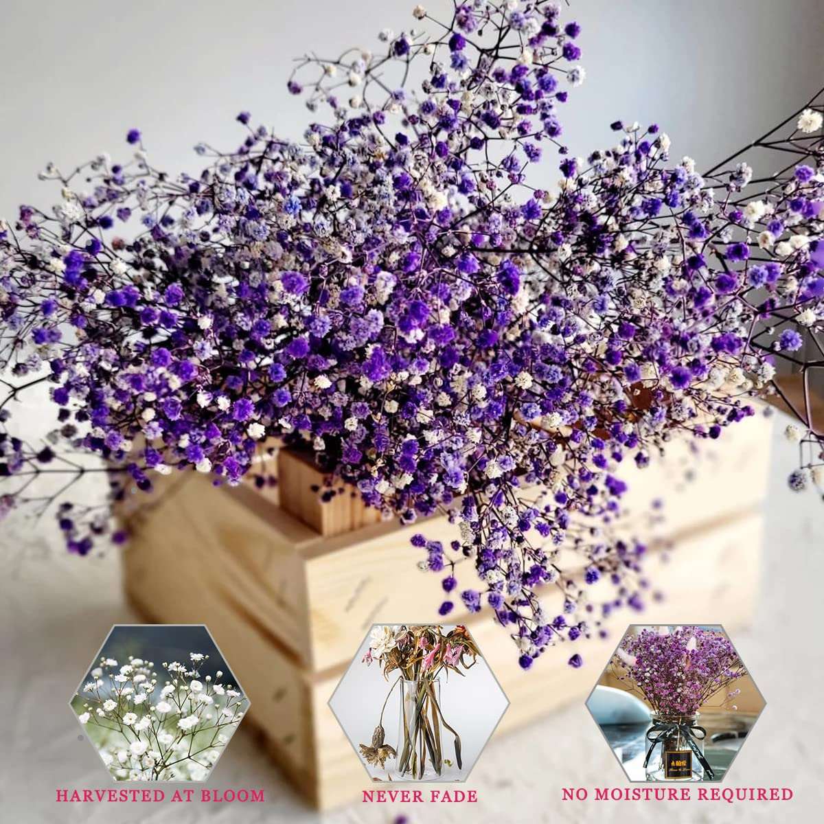 dried_flower - preserved_flower - fake_flower - 2500+Head Dried Flowers Babys Breath Bouquet Natural Gypsophila Purple - Molly Garden - Molly_Garden_Floral