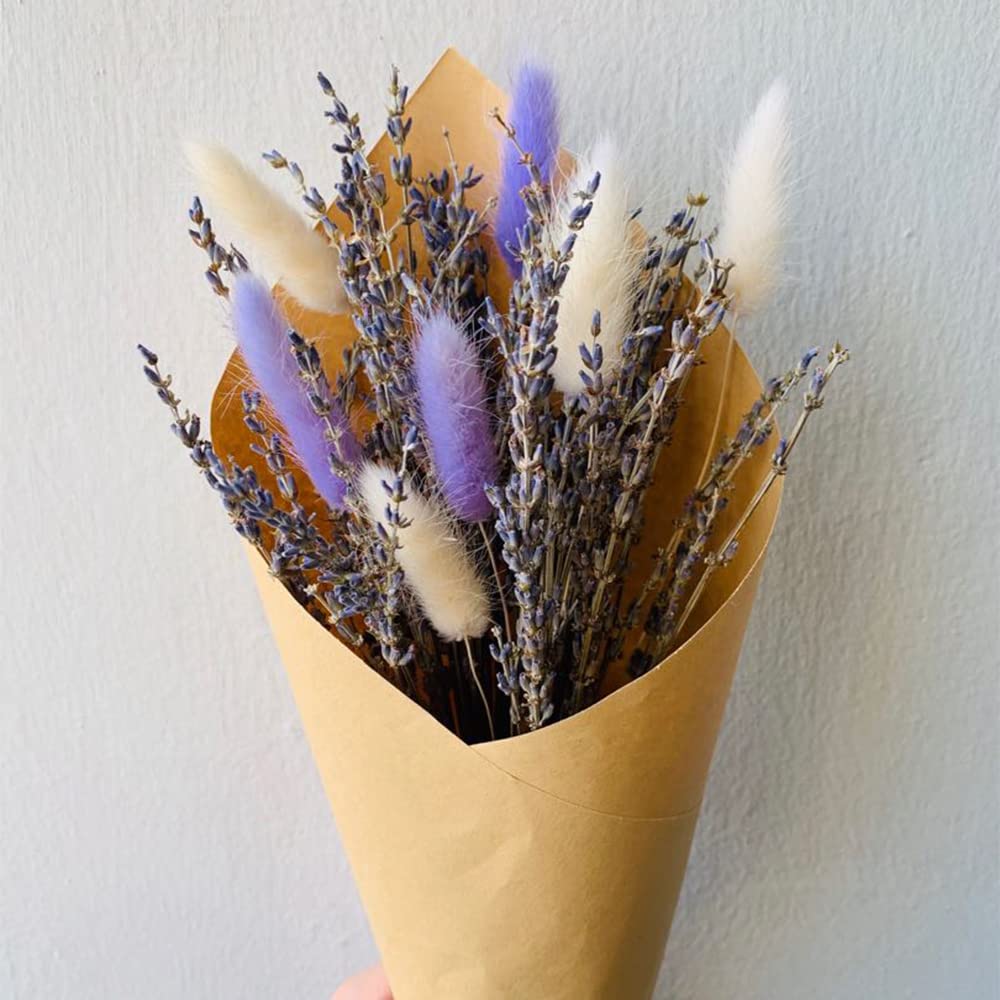 dried_flower - preserved_flower - fake_flower - 120Pcs Dried Bunny Tails Flowers Rabbit Tail Grass Lagurus Ovatus Bouquet - Molly Garden - Molly_Garden_Floral
