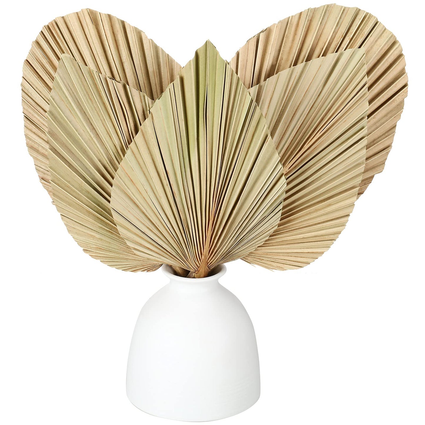 dried_flower - preserved_flower - fake_flower - Natural Dried Palm Leaves Real Plants Home Decor Boho Heart Oval Shape - Molly Garden - Molly_Garden_Floral
