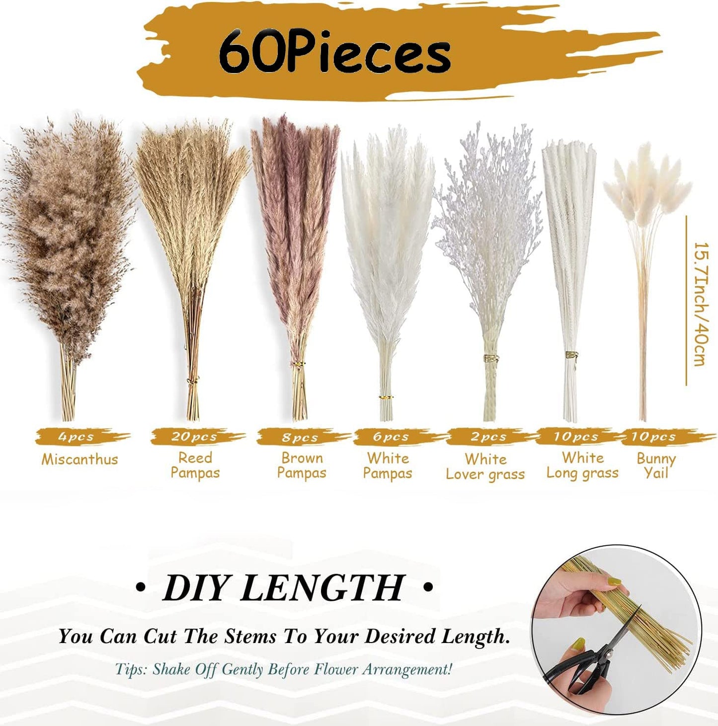 dried_flower - preserved_flower - fake_flower - Dried Pampas Grass Decor DIY Boho Natural Flower Decor Pompous Plants - Molly Garden - Molly_Garden_Floral