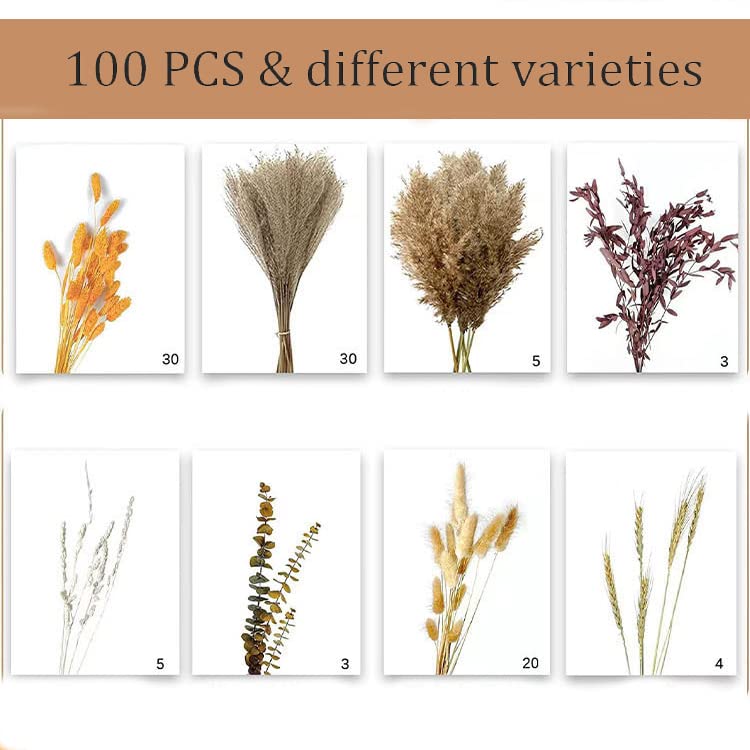 dried_flower - preserved_flower - fake_flower - Dried Pampas Grass Decor DIY Boho Natural Flower Decor Pompous Plants - Molly Garden - Molly_Garden_Floral