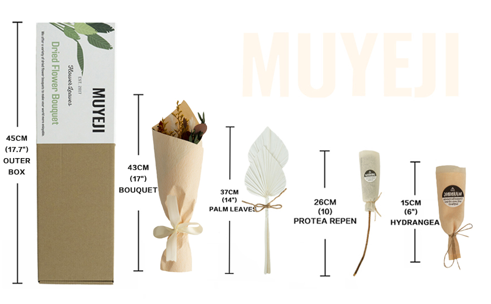 dried_flower - preserved_flower - fake_flower - Mix Bouquet | Protea Repens Hydrangea Eucalyptus Palm Millet Limonium Pampas - Molly Garden - Molly_Garden_Floral