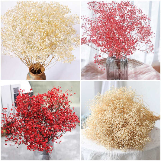 dried_flower - preserved_flower - fake_flower - 2500+Head Dried Babys Breath Flowers Bouquet 17.2inch Natural Gypsophila - Molly Garden - Molly_Garden_Floral